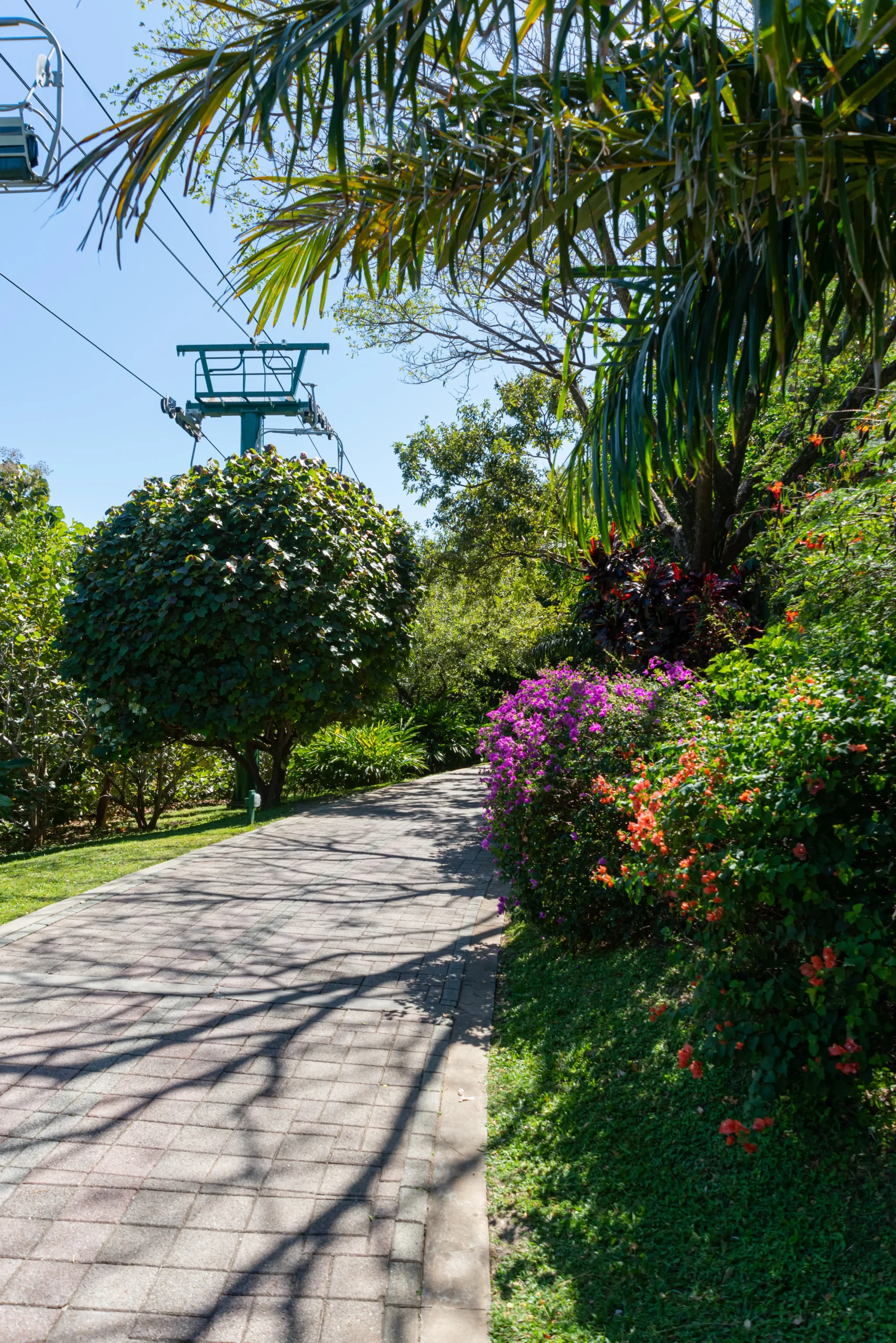 Jogging & Walking Path