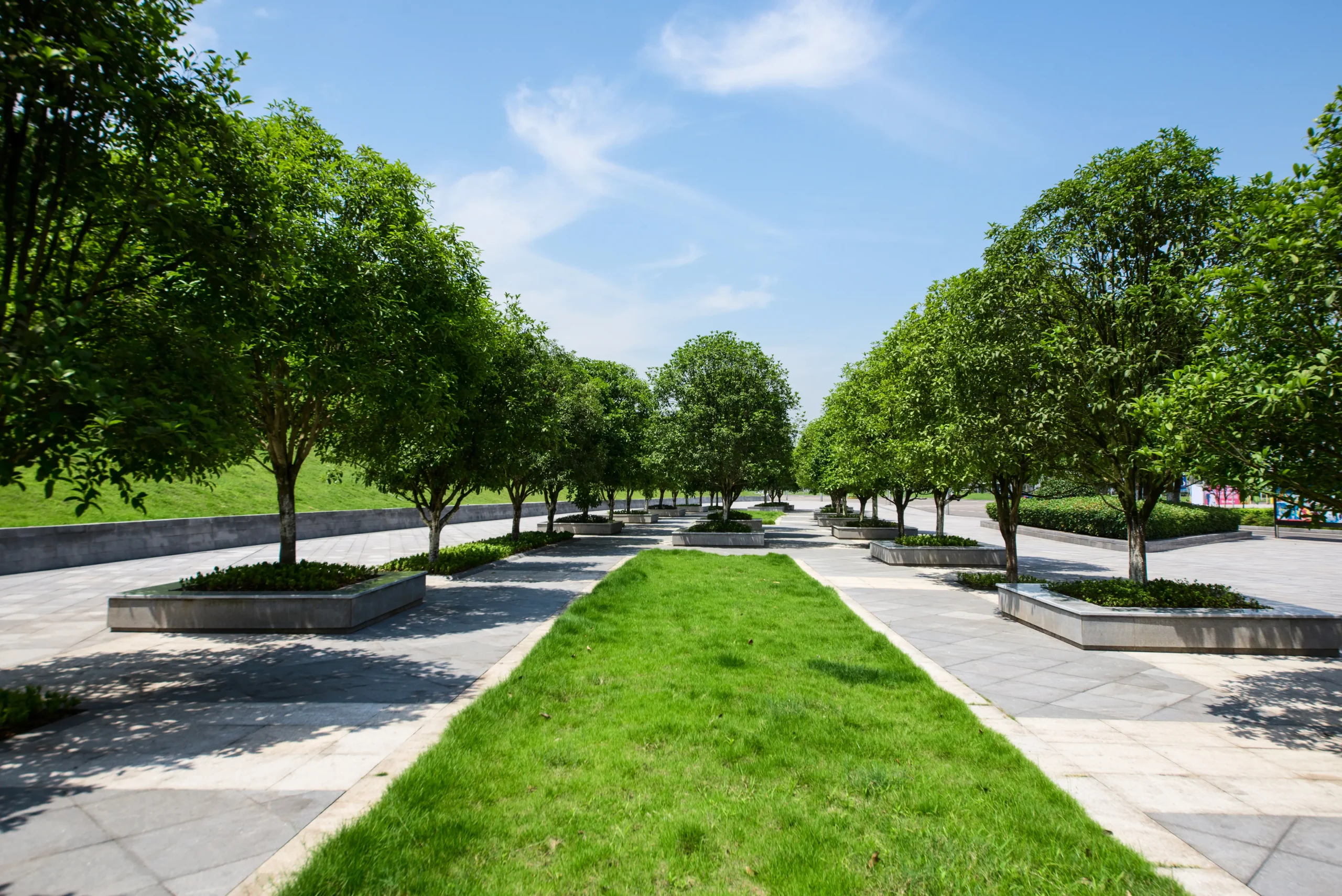 Lush Green Park